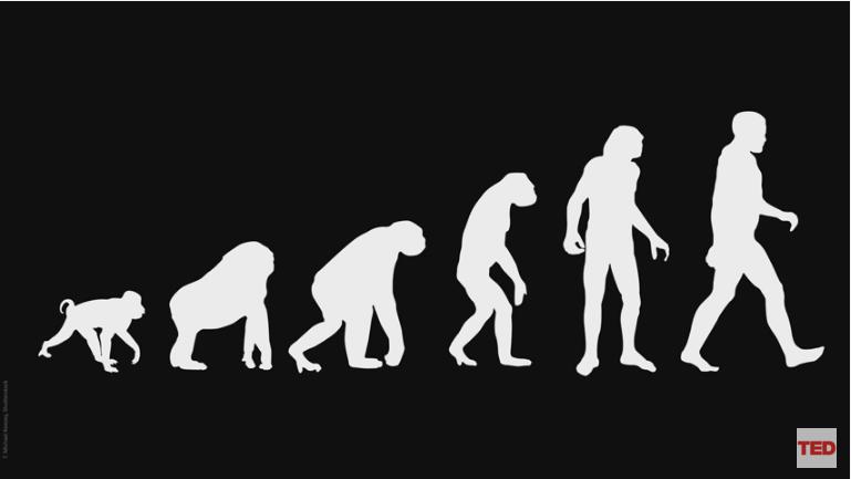 Se olharmos para o nosso umbigo, encontramos a linha que nos une.